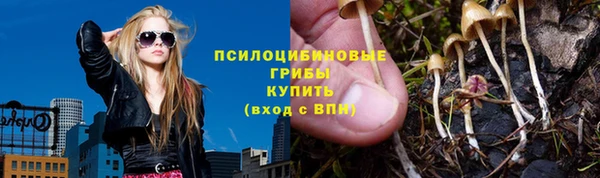 винт Алзамай