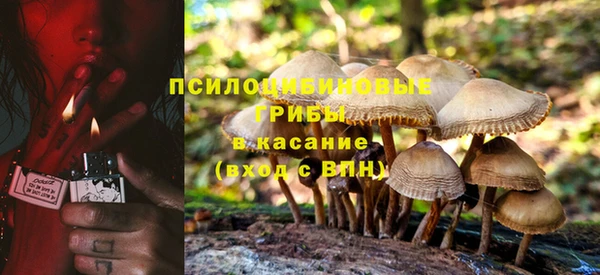 винт Алзамай