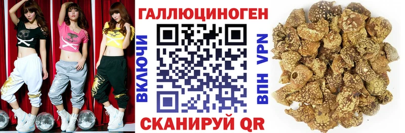 купить закладку  Жуковский  Псилоцибиновые грибы Cubensis 