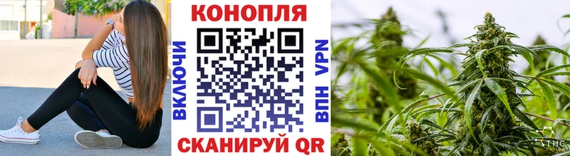 Бошки Шишки план  Жуковский 